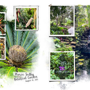Selby Gardens in August