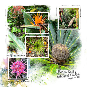 Selby Gardens_left