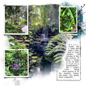 Selby Gardens_right