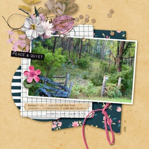 Scrapping-with-Liz_2021-09_September-MIS_web