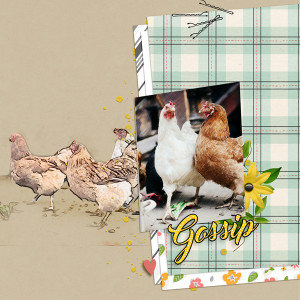 Gossip