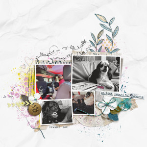 Collect Beautiful Moments