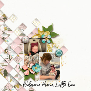 SOSN_9-8_LG_Soco_Welcome Home, Little One