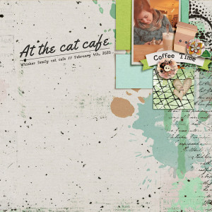 Coffee Time At The Cat Cafe