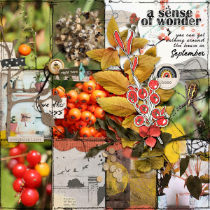 210903_garden