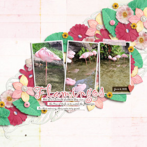 Sept Scraplift - Flamingos