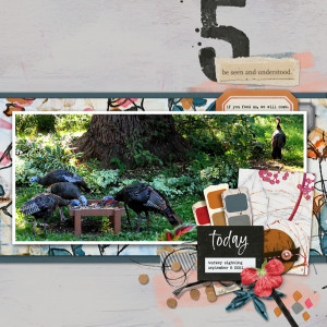 2021-09_September-TLP_Speed-scrap_web600