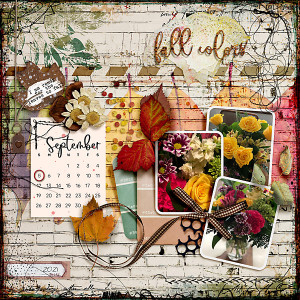 Fall Colors