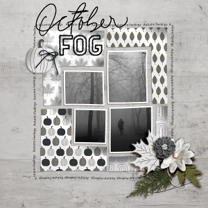 SOSN_9-15_AP_SwL_October Fog