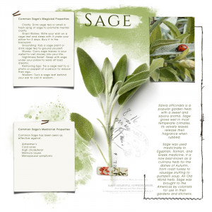 Sage