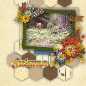 Autumn