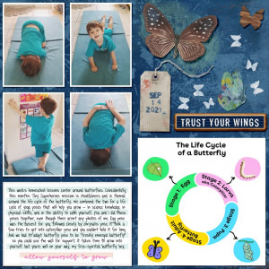 butterfly life cycle yoga