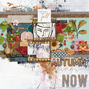 Autumn Feelings
