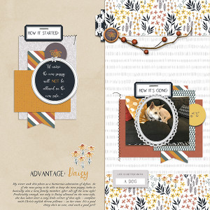 Sept 21 Journaling Challenge Advantage: Daisy