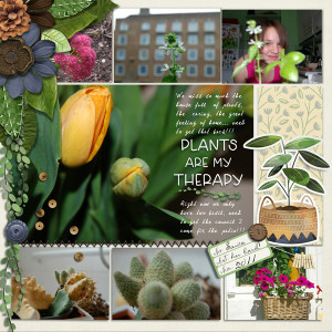 PlantLadies_a
