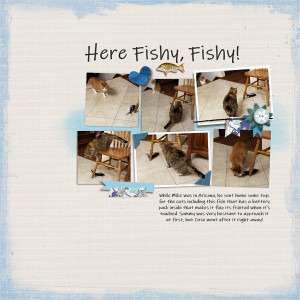 Here Fishy Fishy