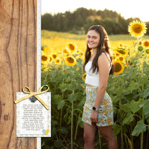 Halle in the sunflowers