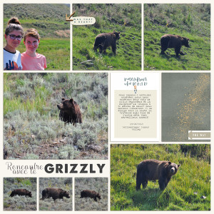 Grizzli