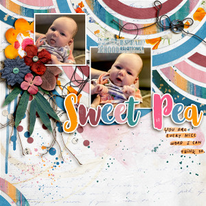 SOSN_9-22_LBW_SwL_Sweet Pea