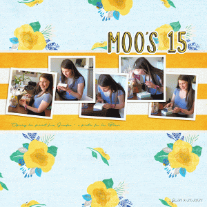 Prd_moos15
