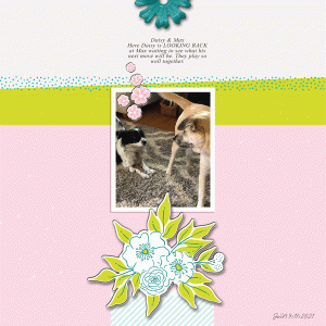Sahindesigns_looking-back