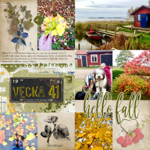 Week 41 2017