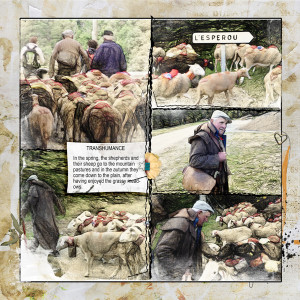 Transhumance