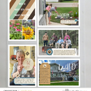 PL2021 - Week 33 | Sahlin Studio