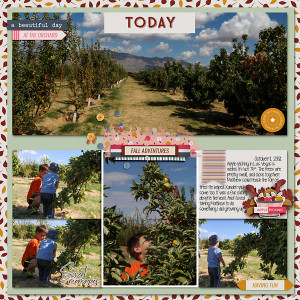 2018 Oct Apple Picking