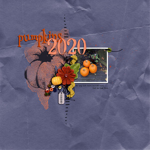 2020 Pumpkins