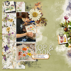 StopLook