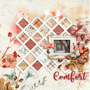 SS_10-2_LG_SwL_Comfort