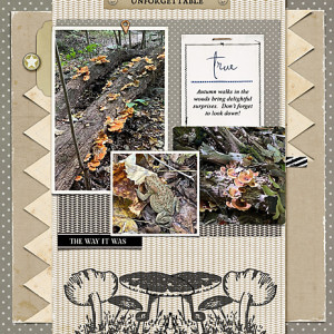 Autumn-Surprises_flowersgal_web