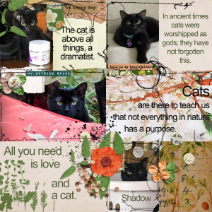 Cats