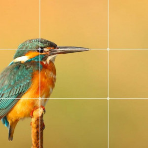 002-Rule-of-Thirds