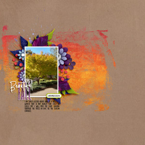 Inspiration - Sept 2021 - Beautiful-Fall