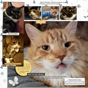 Sahlin Studio Template Challenge September 2021 My Sweet Boys