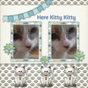 Here Kitty
