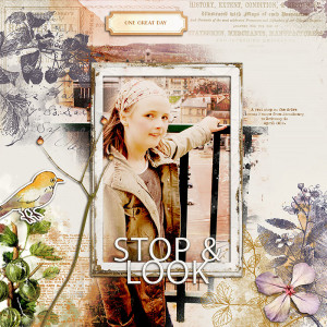 Stop and Look