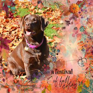 Fall Camouflage