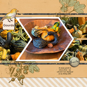 Gourds_Forage_flowersgal_web