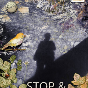 Stop and look