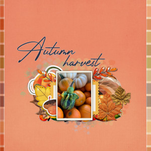 Autumn Harvest