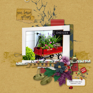 Pink-Reptile-Designs_2021-10_October_DSD_1002_Choices_web