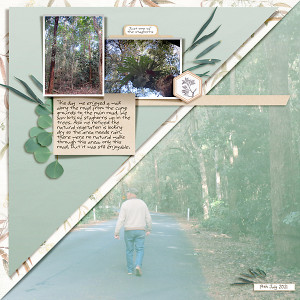 A Walk Down the Road