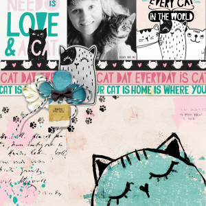 Little-Butterfly-Wings_2021-10_October_DSD_1002_Crazy-Cat-Lady_web