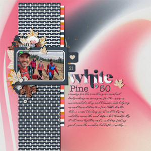 White Pine 50