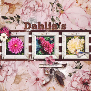 Dahlia's