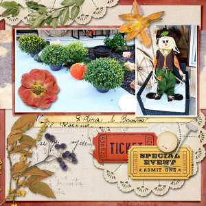 Special Saturday - Sale in The Lilypad Store.
