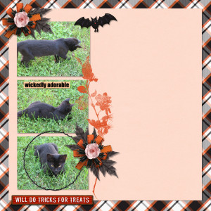 Tricks for Treats